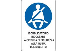 SEGNALE DI OBBLIGO ARTICOLO 01801815