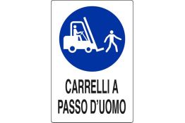 SEGNALE DI OBBLIGO ARTICOLO 01806400