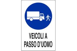 SEGNALE DI OBBLIGO ARTICOLO 01806700