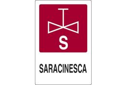 SEGNALE ANTINCENDIO ARTICOLO 02402800