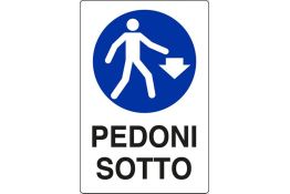 SEGNALE DI OBBLIGO ARTICOLO 01809120