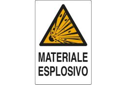 SEGNALE DI PERICOLO ARTICOLO  W0025760