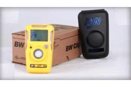 BW CLIP 24 MESI