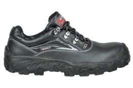 NEW CELTIC S3 SRC