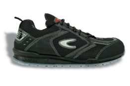 PETRI COFRA S1P SRC