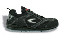 PETRI COFRA S1P SRC